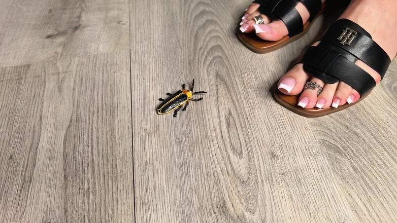 Goddess Lena: 버그 버스터