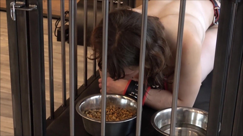 Sex and BDSM Slaves by her Master: 24/7 Cage Keeping of the Slave in Everyday Life