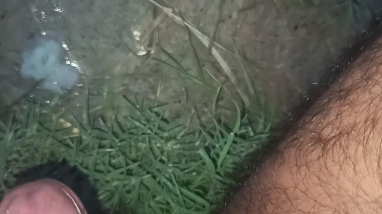 Robbie Dog: ハードランドセックスプージャバビコペラチュダイハンドメッセージ