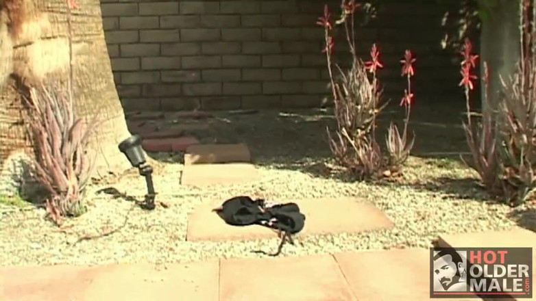 Pantheon men: Bear Oasis: Bär dreier