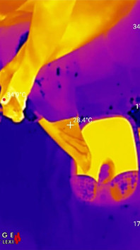 Feet Soles Get Ground, Buffed and Lubed Until They’re Glossy-fuckable Thermal POV