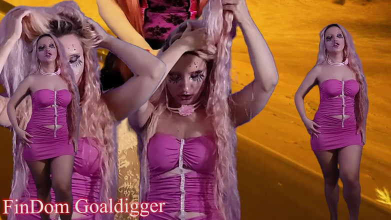 FinDom Goaldigger: My worthless cumslut