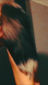 Baby Wolf. Old Clip, My Younger Self Being a Wolf