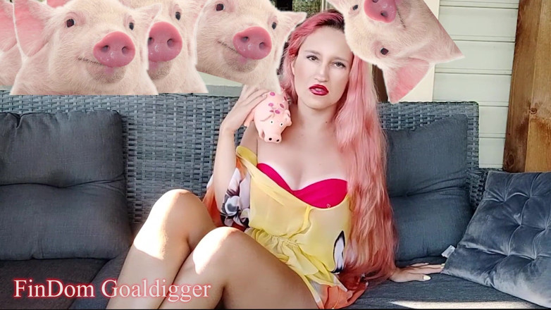 FinDom Goaldigger: Cash slave application form review