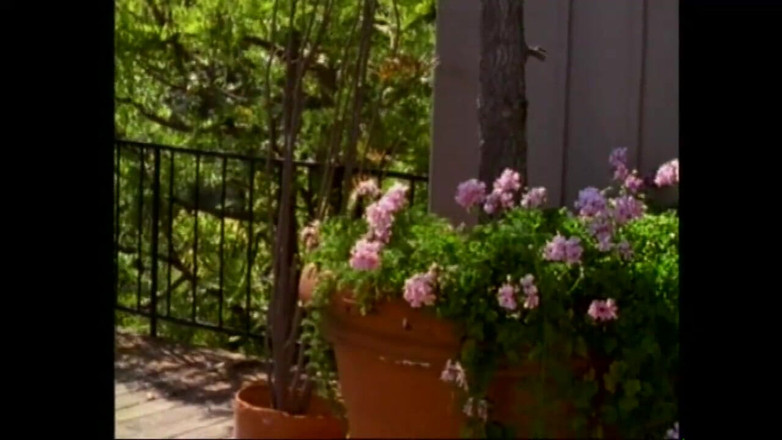 Forte porno TV xxx - (Just the best full movies): Laura și Tony unul pe celălalt