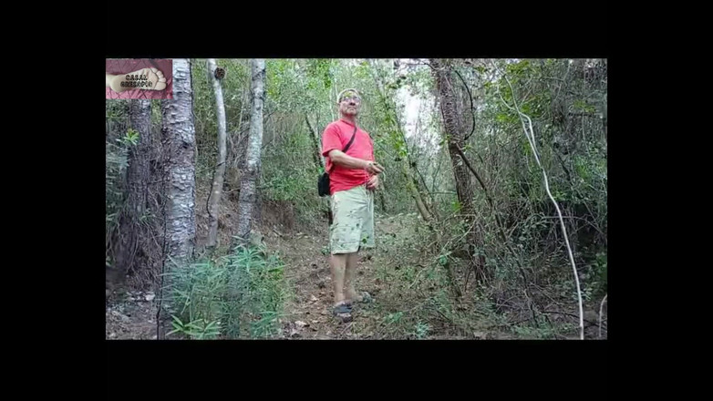 Casal Gresopio films: A in Het Bos 1