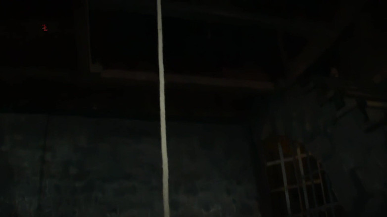 Inquisition and prison world: 金发女仆被脱光衣服，被拉到天花板上接受审讯