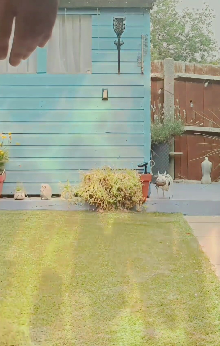 MaleModel: 정원 누드 / 노출 (1 부)