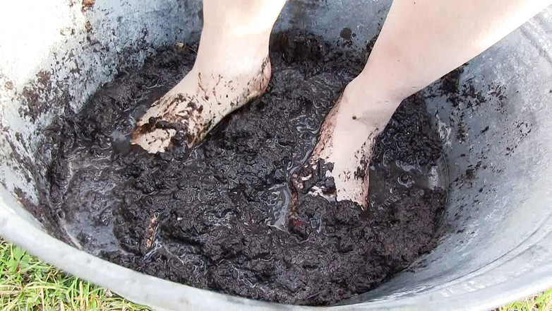 Yvette xtreme: W brudzie