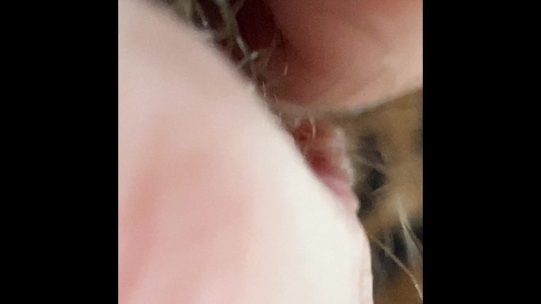Cuteblonde666: Extreme close up on my hairy pussy and huge clitoris
