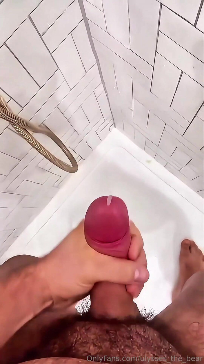 Ulysses the bear: Tvrdá nálož po dlouhém dnikdy den končí