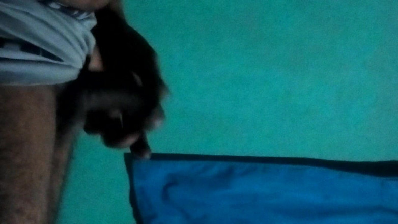 Picorrico69: 마른 자위