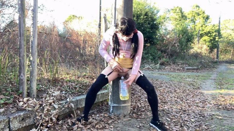 megu2002: Coleção de Xixi da Ordem do Treinador Nº42