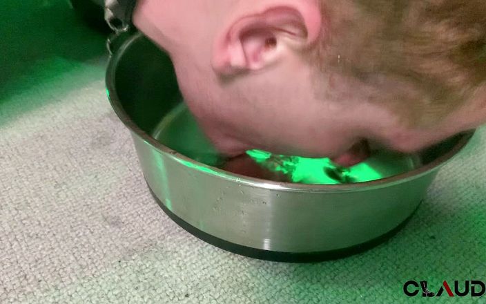 Claude Nikotine: Pup play piss &amp; CBT
