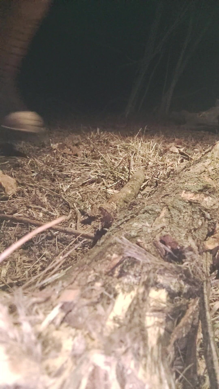 Kate kink: Ošukal jsem se