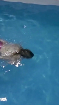 Captive Mermaid Teases You in the Pool