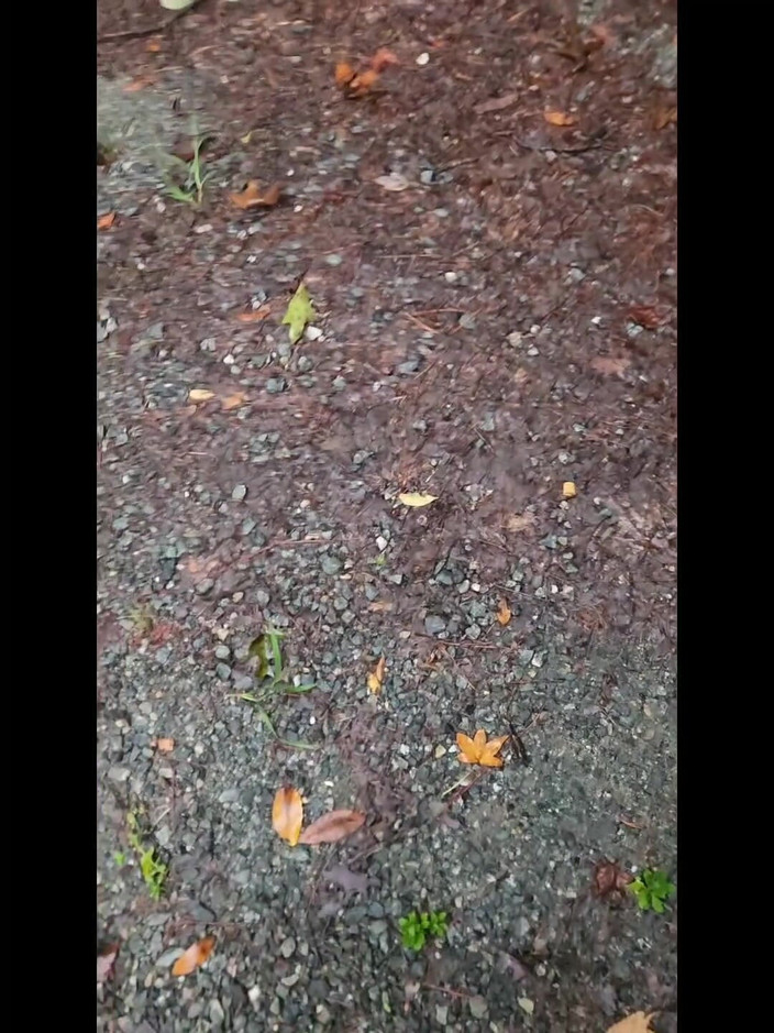 Djk31314: Went for a Short Drive and Walk