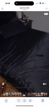 Is Ass Nice