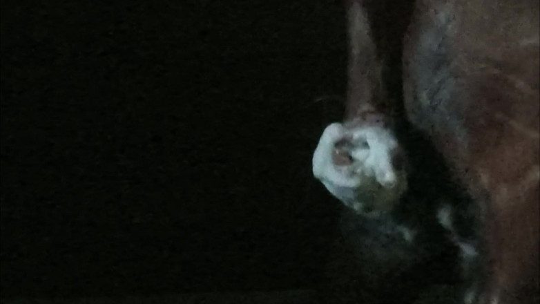 Fun_with_Rockey: Está pasando en la oscuridad