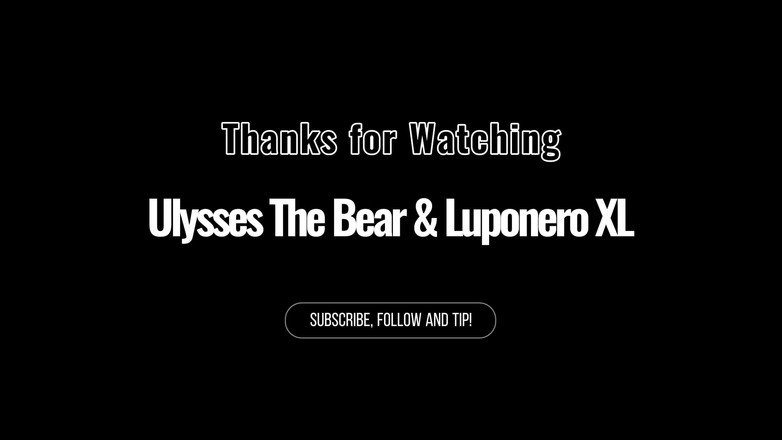Ulysses the bear: Italian Bear and Wolf Passionate Flip Fuck Pt2