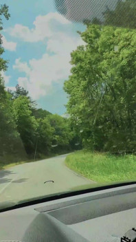 Sweet Cherry Adventure in My Car