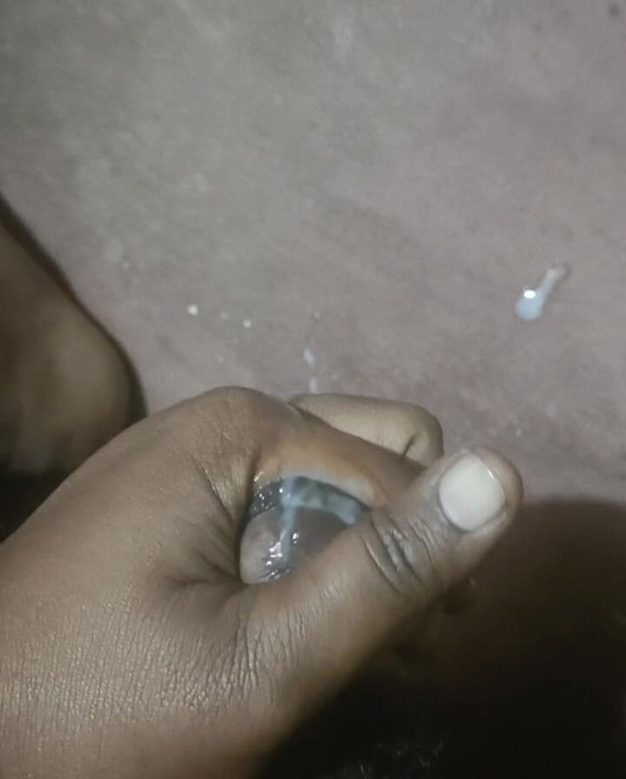 LegalVector8: Indyjski kutas