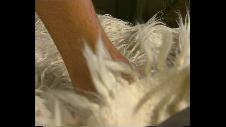 Vintage Megastore Full hd: Amanda Steel fodida bem por um pau grande