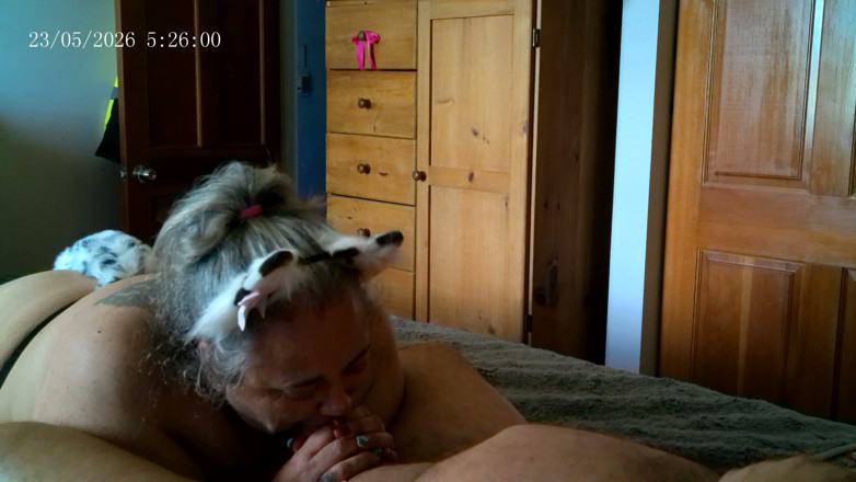 Ramblin Rows: Kitty Meow Meow