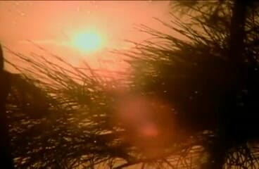 Perfect Porno: Threesome on the beach with two teen whores and one...