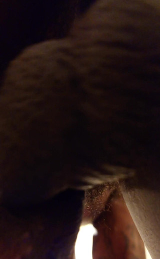 Hallelujah Johnson: Gros plan sur mon cul