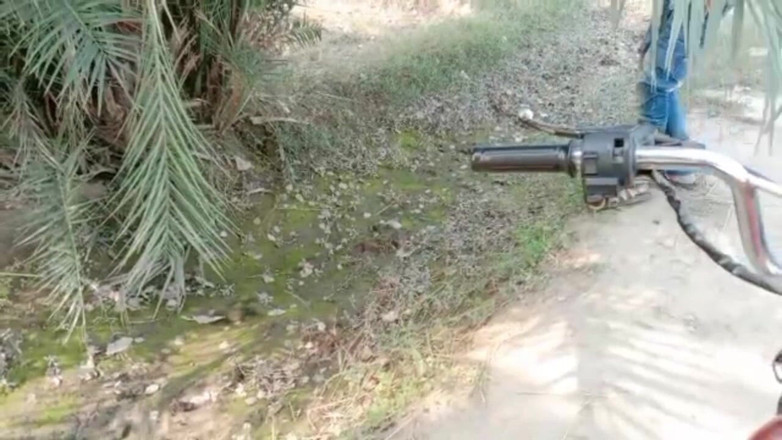 Desiboy gay: हॉट बॉय सेक्स पाकिस्तानी