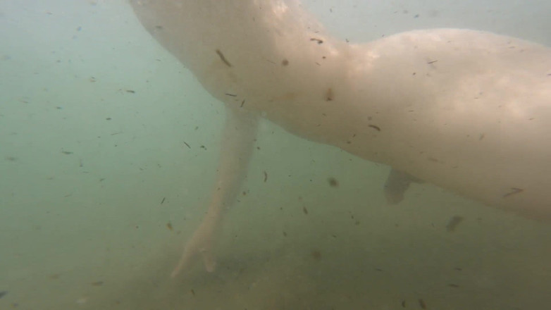 Cool Body: Stříkám jen pro potěšení z pocitu svobody, nahý na veřejné...