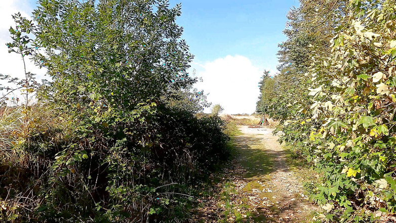 Bouncy Tits Action: Blouse Down - palme de țâțe lângă lac