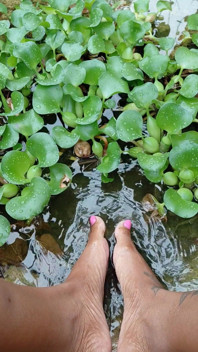 Chilling by the Water Lillies