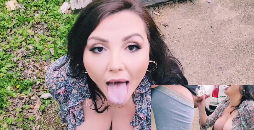 CoyWilder: 세페레이트 동영상의 2가지 관점