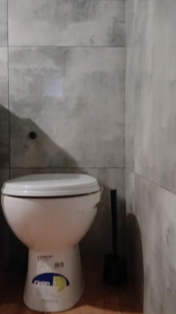 My Ass