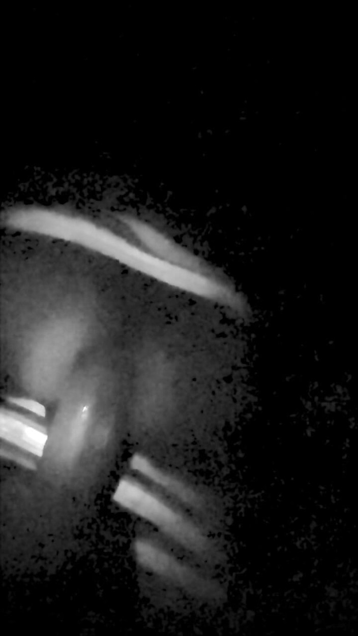 ChiefIntent7: Tôi chỉ cho bạn một cái gì đó