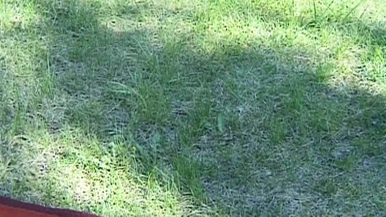 ORGASMX: Horny MILFs Swap Partners for Wild Outdoor Fun