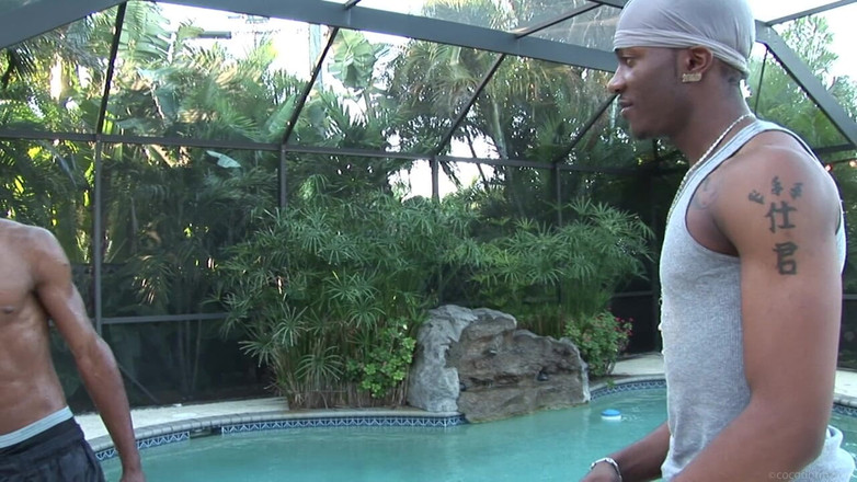 CocoDorm: Jay Jay + Merecio