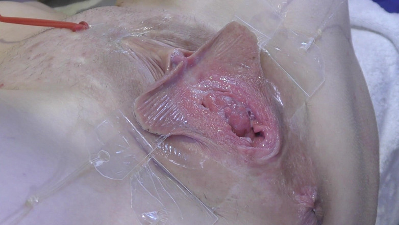 deep keely: 3 Menjilat Pussy Spread Jauh Dari Sangat Dekat