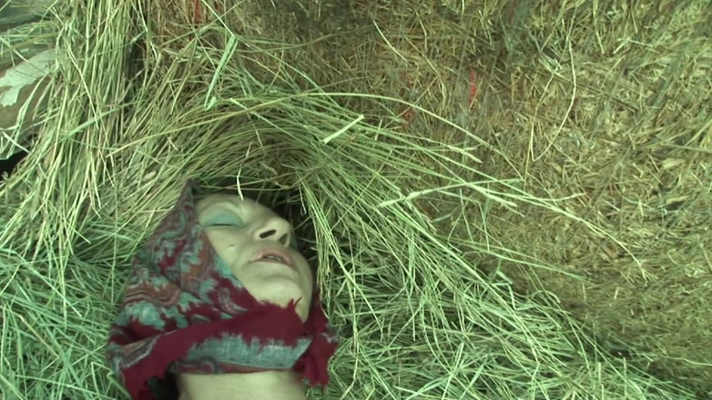 Thot Factory: Mature lesbians strap-on fucking at the stable