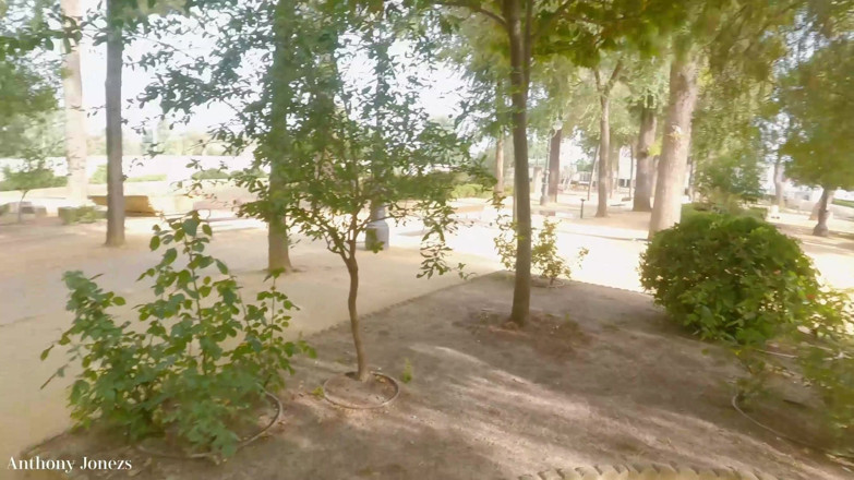 AnthonyJonezs: Throat Fuck in the Park Cum Mouth