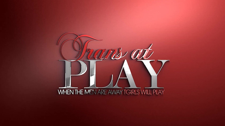 Trans 500: 오 미스 마르셀라