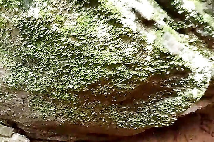 Gangbang straight: Une Australienne rittu xxx dans un club porno indien se...