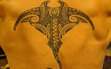 Colin Jones: Penetrasi dildo anal. Kecil, sedang, besar, dildo ekstra besar