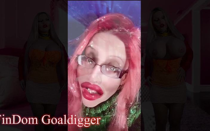 FinDom Goaldigger: Beg for my attention!