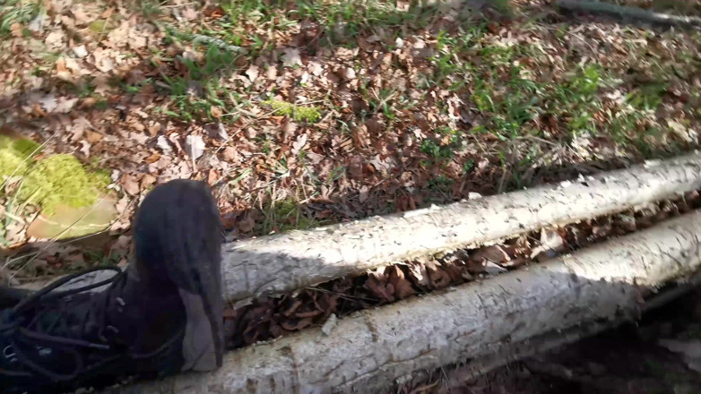 Bouncy Tits Action: Titslaping in the Woods