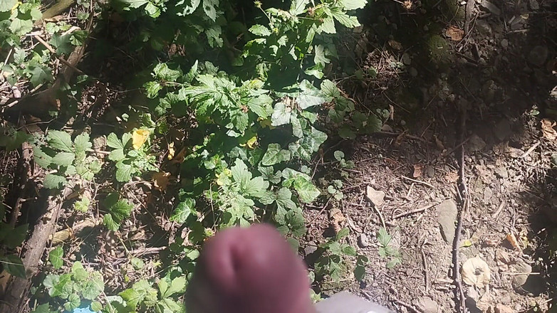 Bayer911: Bayer část 153