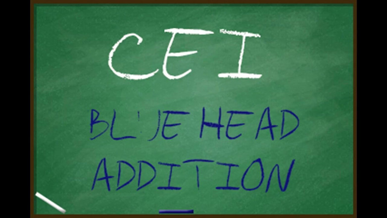 Campsissyboi: CEI pro opravdu Gay Sissy