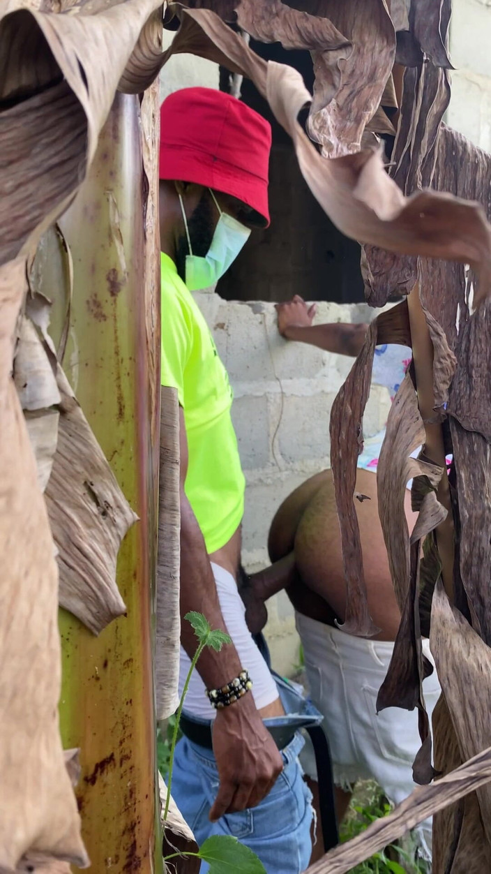 Arola7: Saklambaç çalı sikişi